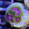 DSCF5848