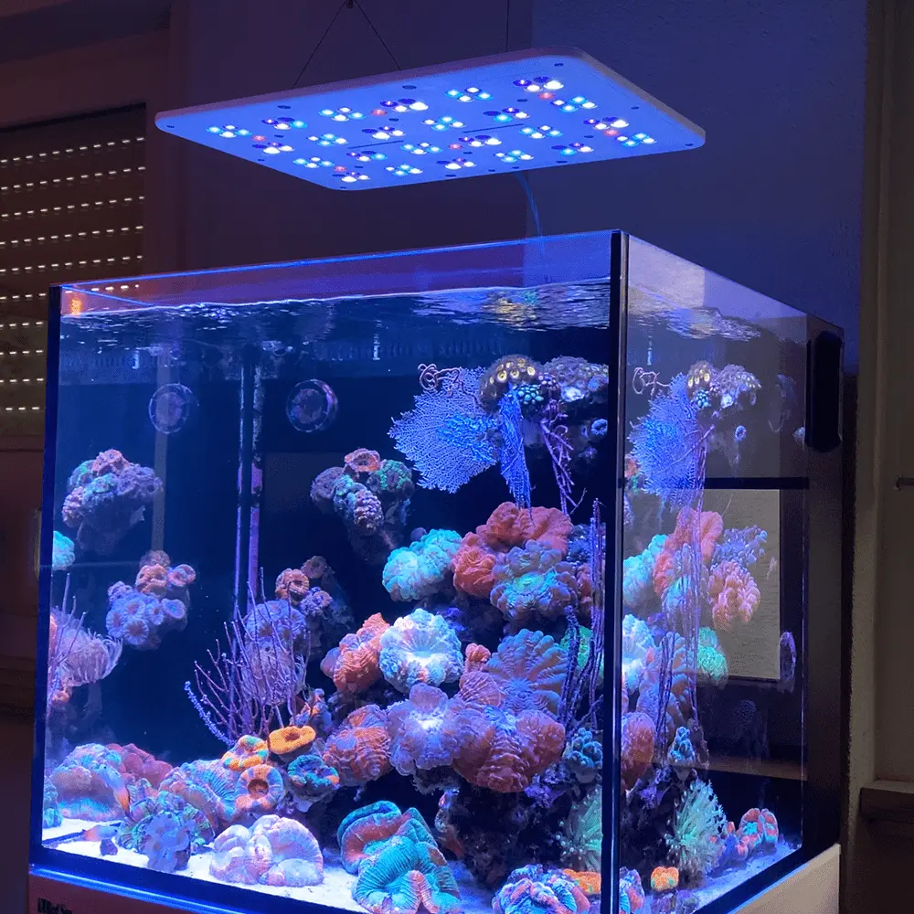 ATI Straton pro 102 Gen 2