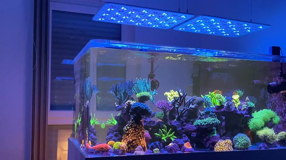 ATI Straton pro 102 Gen 2