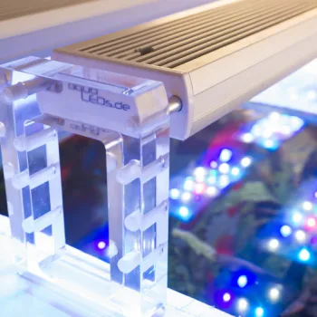 aquaBAR Acrylglashalter