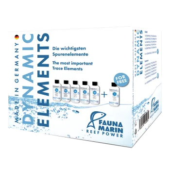 Dynamic Elements