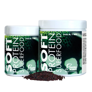 Soft Protein Superfood